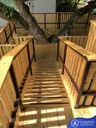 Timber S4S ไม้สนแปรรูป 2'' × 4'' × 3 เมตร (45มม.×96มม.×3ม.)
